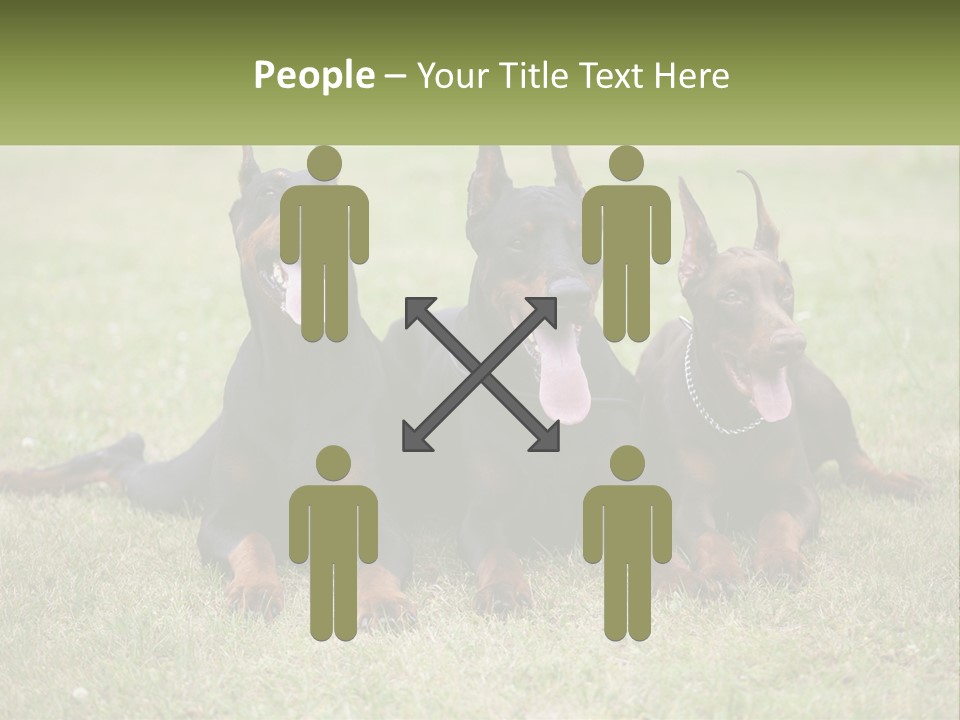 A Group Of Three Dogs Laying On Top Of A Grass Covered Field PowerPoint Template
