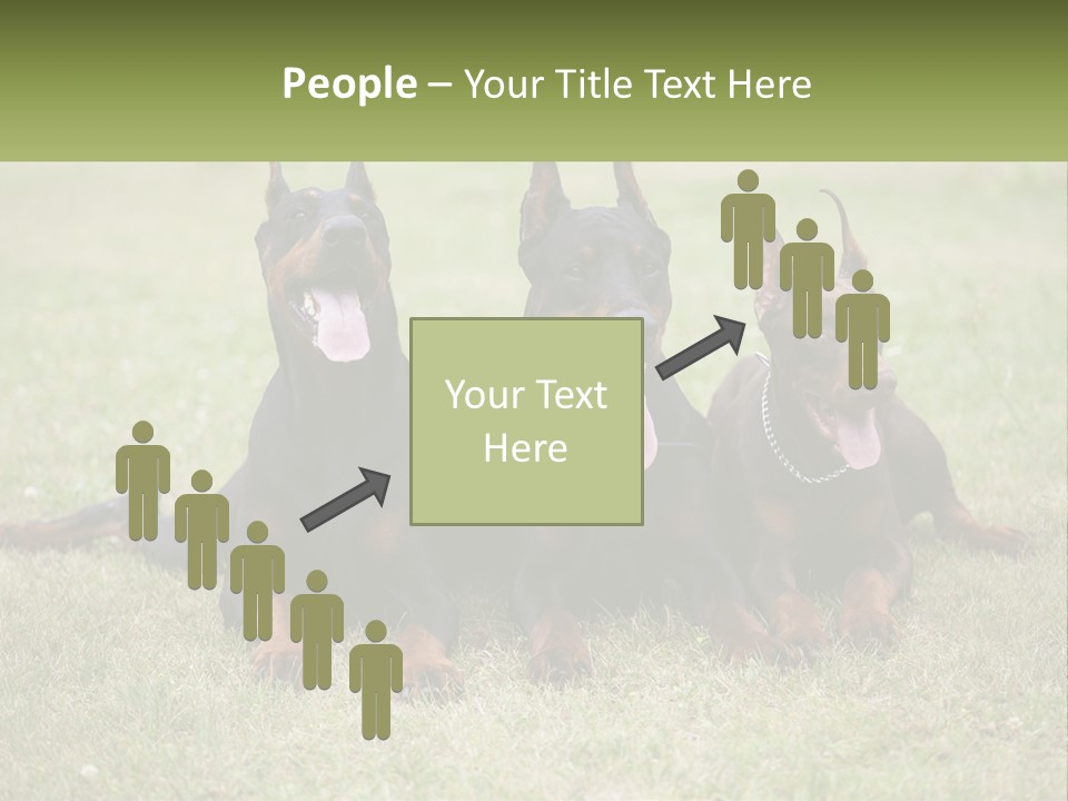 A Group Of Three Dogs Laying On Top Of A Grass Covered Field PowerPoint Template