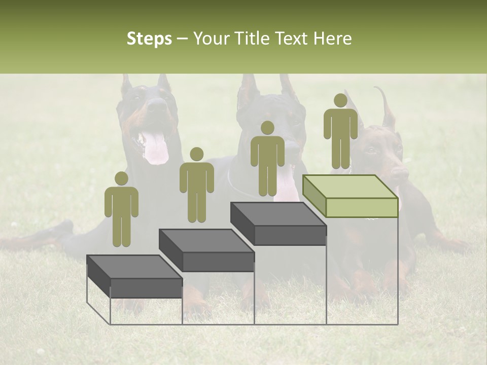 A Group Of Three Dogs Laying On Top Of A Grass Covered Field PowerPoint Template