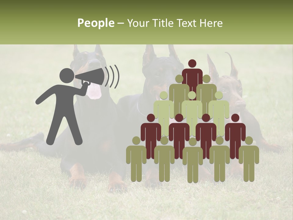 A Group Of Three Dogs Laying On Top Of A Grass Covered Field PowerPoint Template