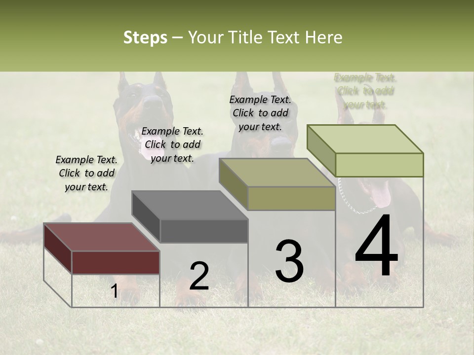 A Group Of Three Dogs Laying On Top Of A Grass Covered Field PowerPoint Template