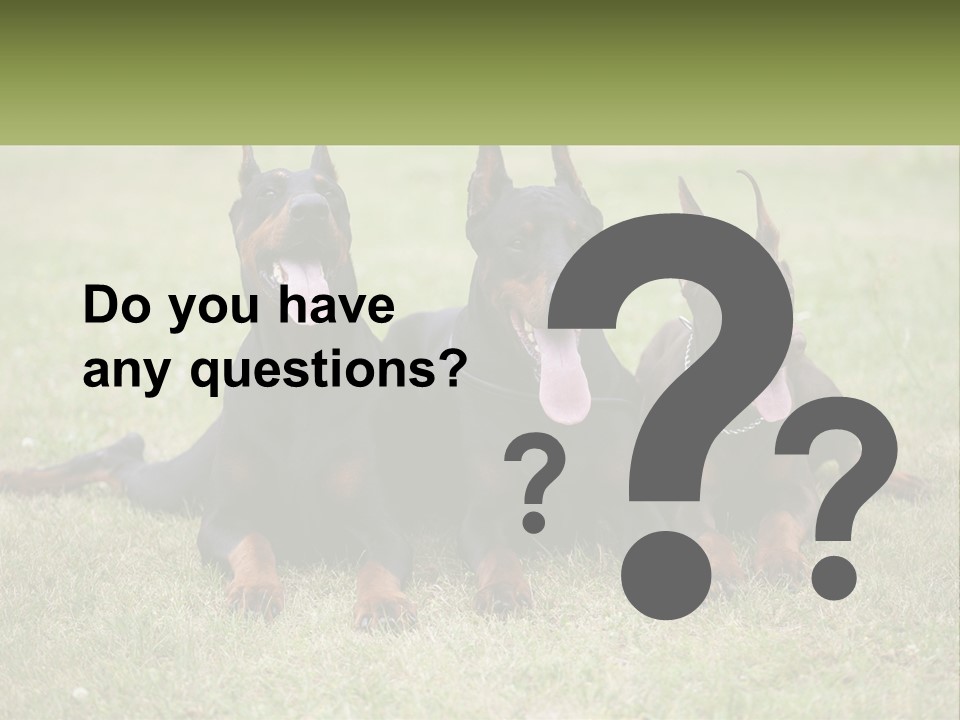 A Group Of Three Dogs Laying On Top Of A Grass Covered Field PowerPoint Template