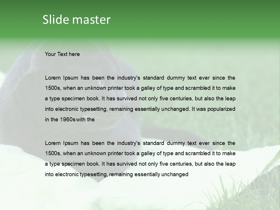 A Gray Cat Laying On Top Of A Blanket In The Grass PowerPoint Template