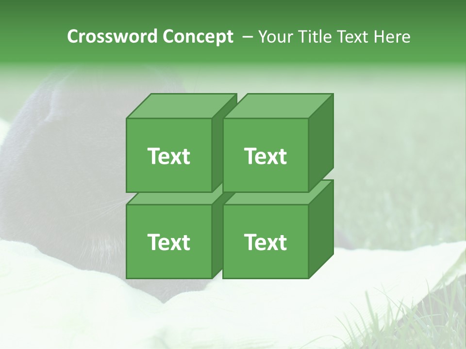 A Gray Cat Laying On Top Of A Blanket In The Grass PowerPoint Template