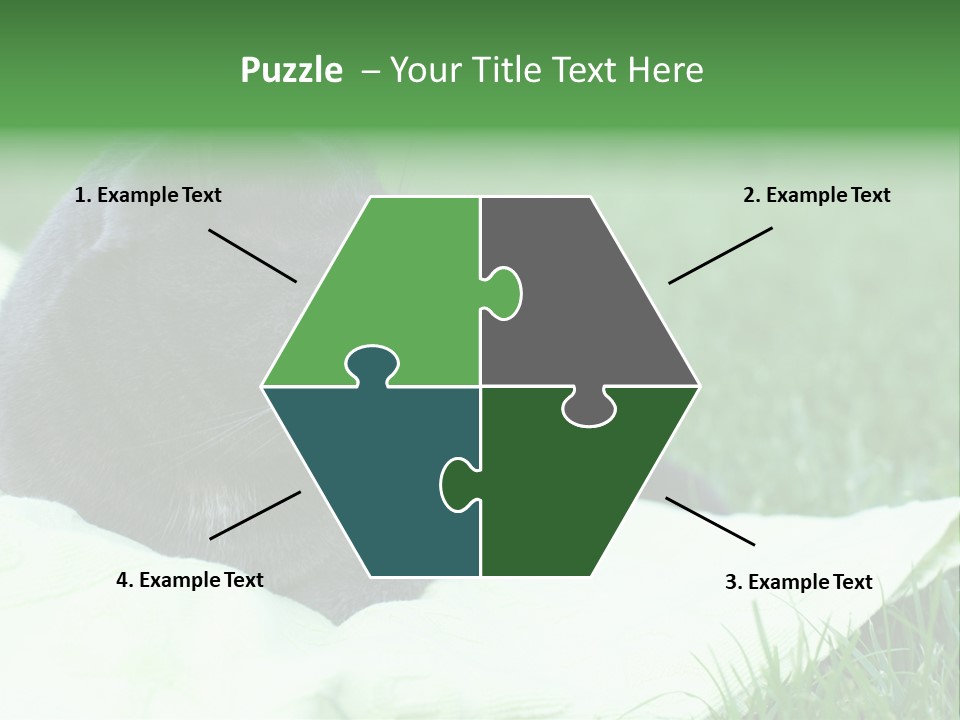 A Gray Cat Laying On Top Of A Blanket In The Grass PowerPoint Template