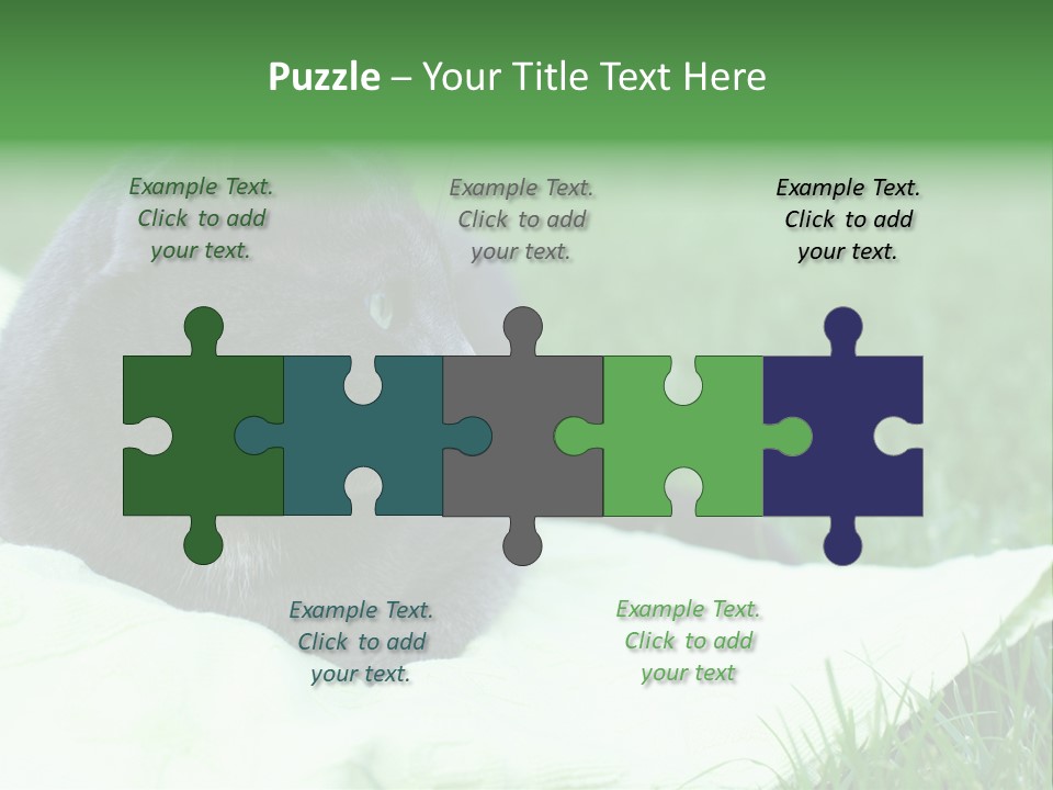 A Gray Cat Laying On Top Of A Blanket In The Grass PowerPoint Template