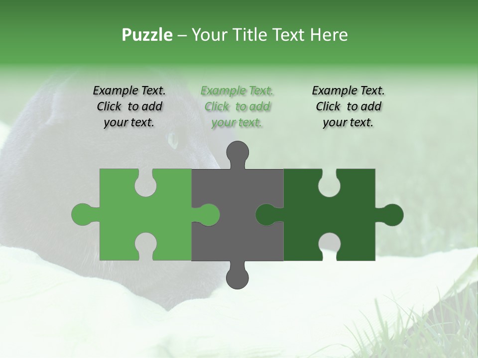 A Gray Cat Laying On Top Of A Blanket In The Grass PowerPoint Template