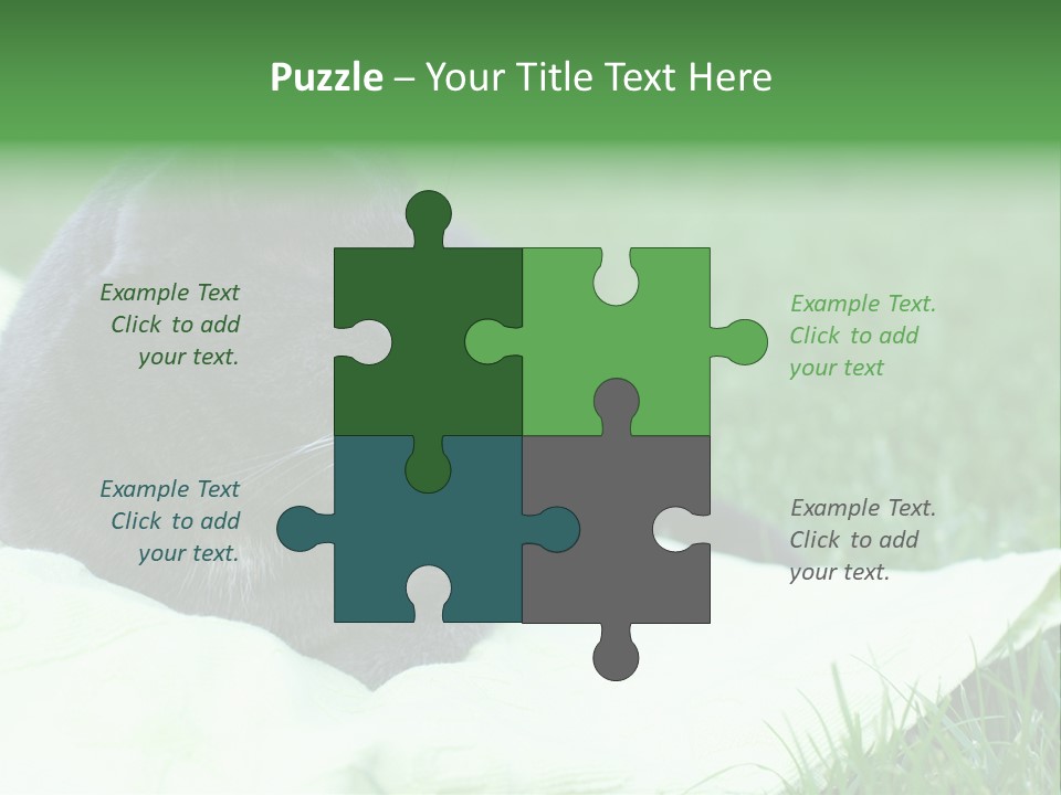 A Gray Cat Laying On Top Of A Blanket In The Grass PowerPoint Template