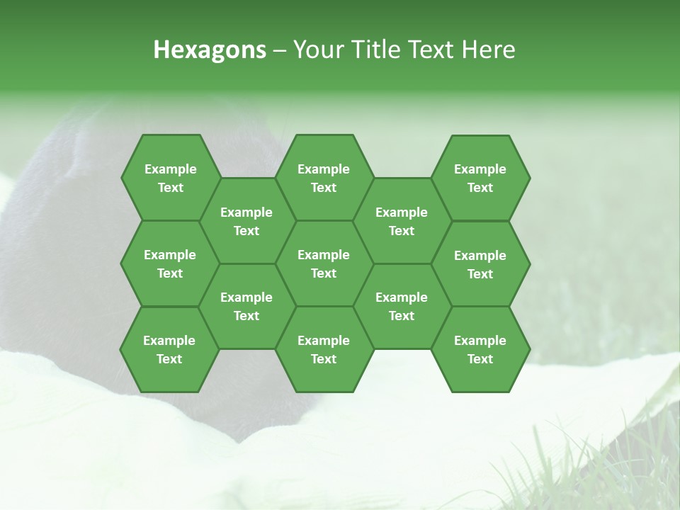 A Gray Cat Laying On Top Of A Blanket In The Grass PowerPoint Template