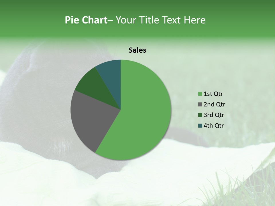 A Gray Cat Laying On Top Of A Blanket In The Grass PowerPoint Template