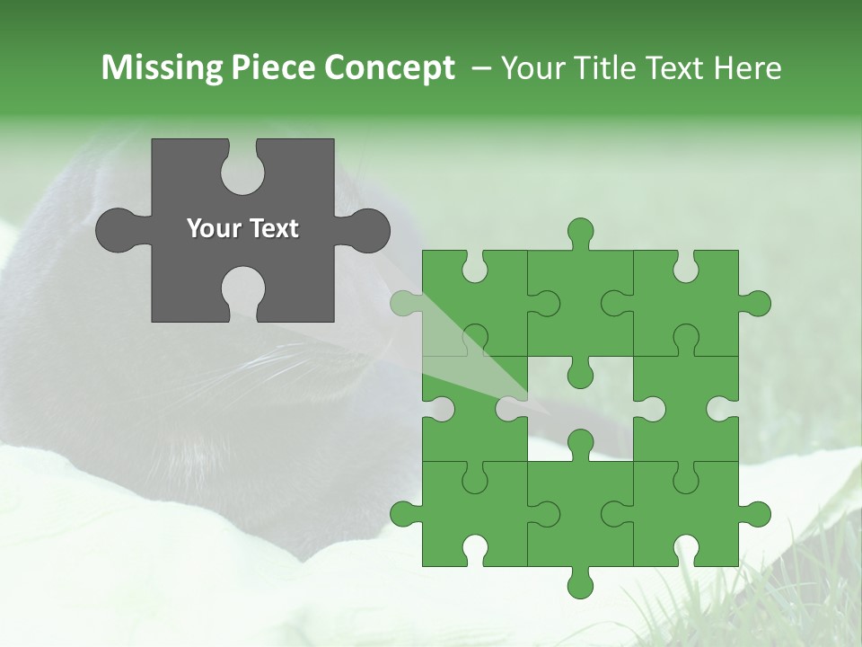 A Gray Cat Laying On Top Of A Blanket In The Grass PowerPoint Template