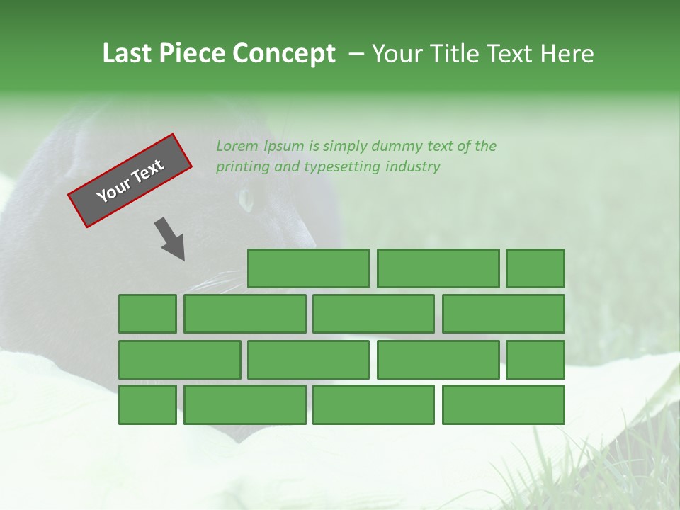 A Gray Cat Laying On Top Of A Blanket In The Grass PowerPoint Template