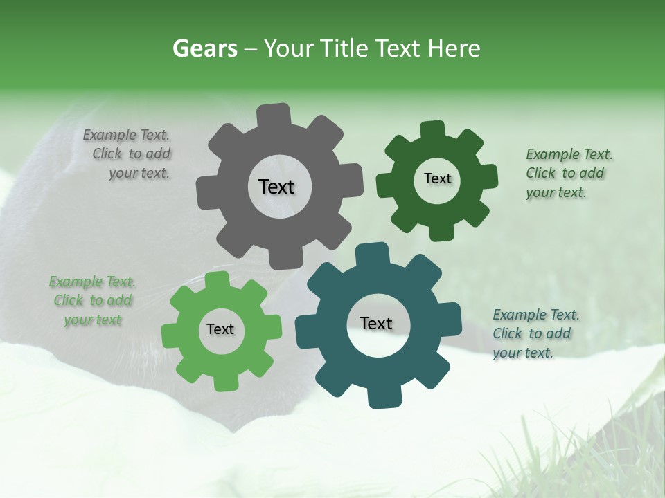 A Gray Cat Laying On Top Of A Blanket In The Grass PowerPoint Template