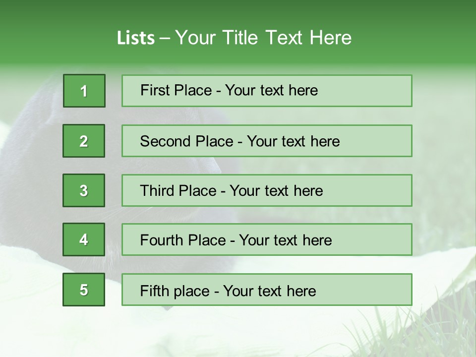 A Gray Cat Laying On Top Of A Blanket In The Grass PowerPoint Template