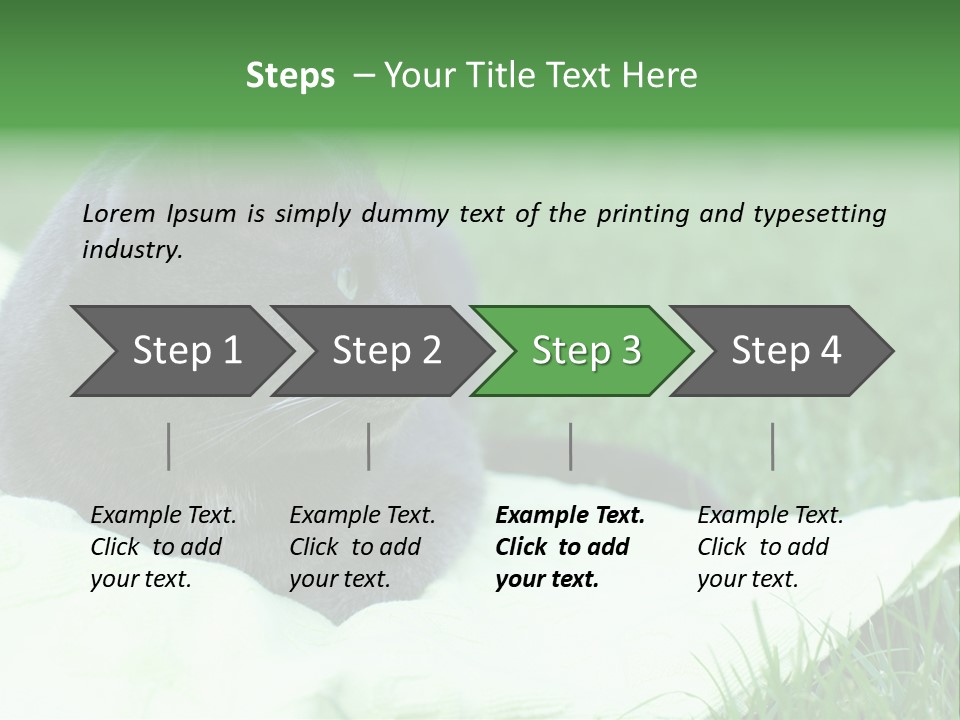 A Gray Cat Laying On Top Of A Blanket In The Grass PowerPoint Template