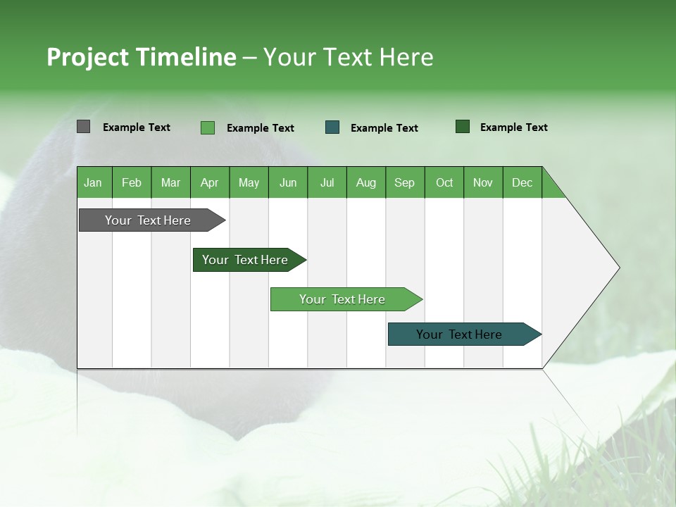 A Gray Cat Laying On Top Of A Blanket In The Grass PowerPoint Template