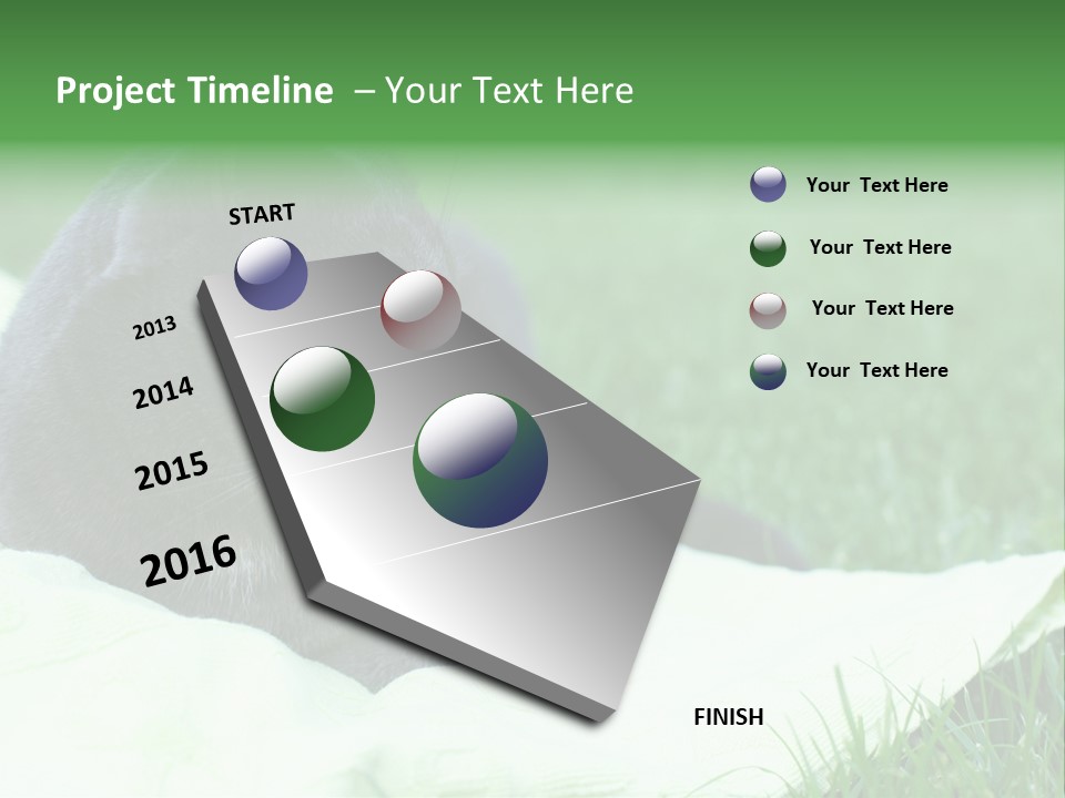 A Gray Cat Laying On Top Of A Blanket In The Grass PowerPoint Template