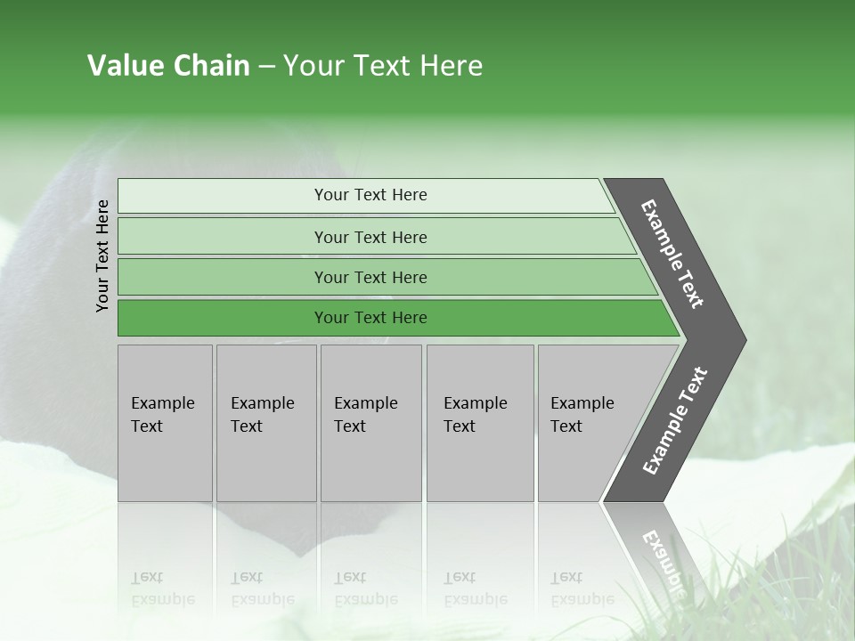 A Gray Cat Laying On Top Of A Blanket In The Grass PowerPoint Template