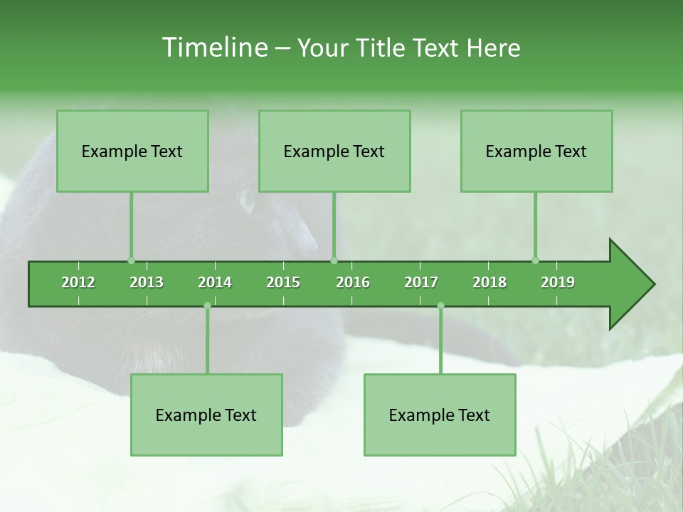 A Gray Cat Laying On Top Of A Blanket In The Grass PowerPoint Template