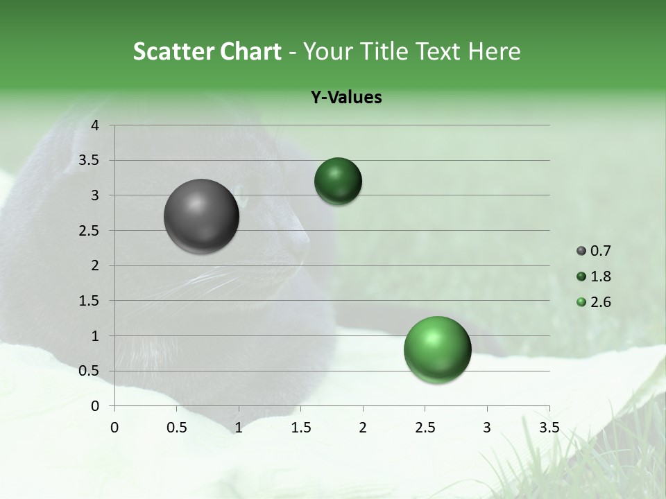 A Gray Cat Laying On Top Of A Blanket In The Grass PowerPoint Template