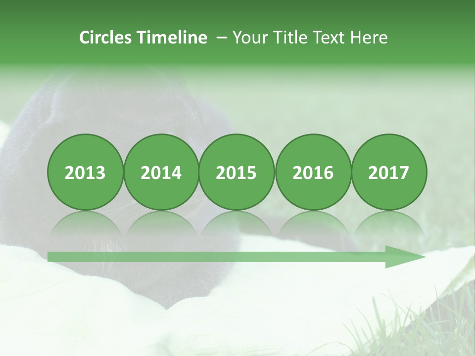 A Gray Cat Laying On Top Of A Blanket In The Grass PowerPoint Template