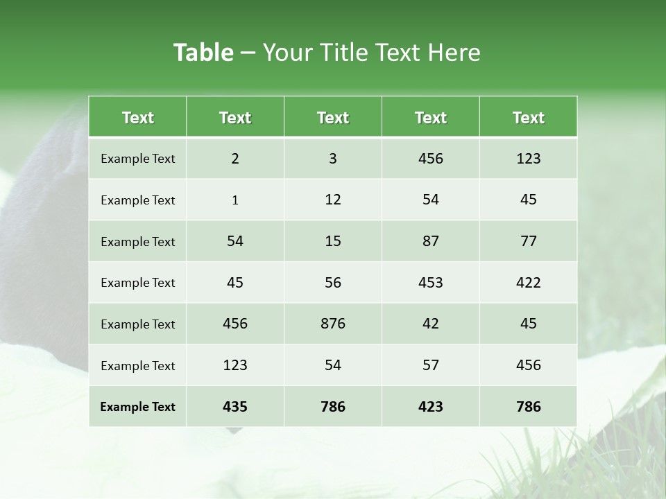 A Gray Cat Laying On Top Of A Blanket In The Grass PowerPoint Template