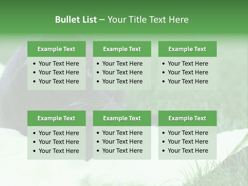 A Gray Cat Laying On Top Of A Blanket In The Grass PowerPoint Template