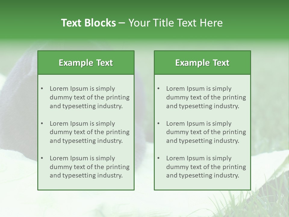 A Gray Cat Laying On Top Of A Blanket In The Grass PowerPoint Template