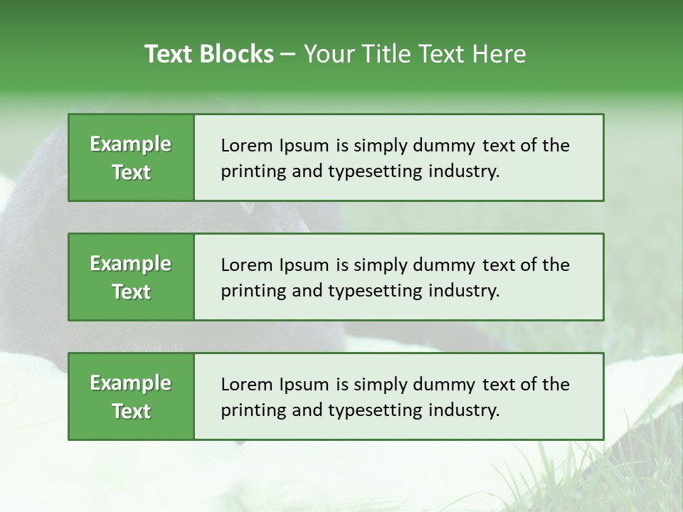 A Gray Cat Laying On Top Of A Blanket In The Grass PowerPoint Template