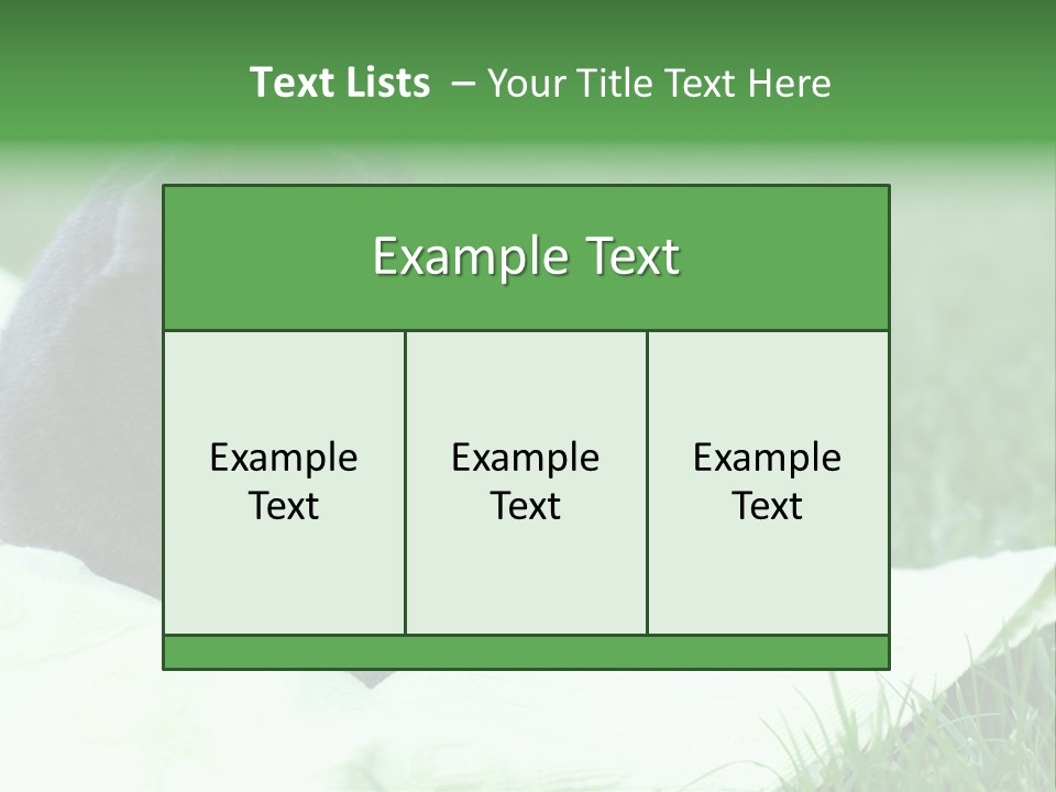 A Gray Cat Laying On Top Of A Blanket In The Grass PowerPoint Template