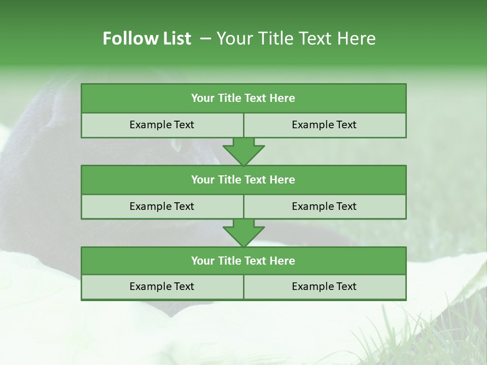 A Gray Cat Laying On Top Of A Blanket In The Grass PowerPoint Template