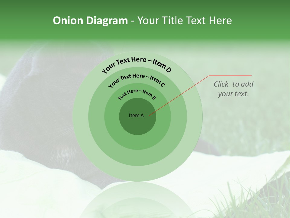 A Gray Cat Laying On Top Of A Blanket In The Grass PowerPoint Template