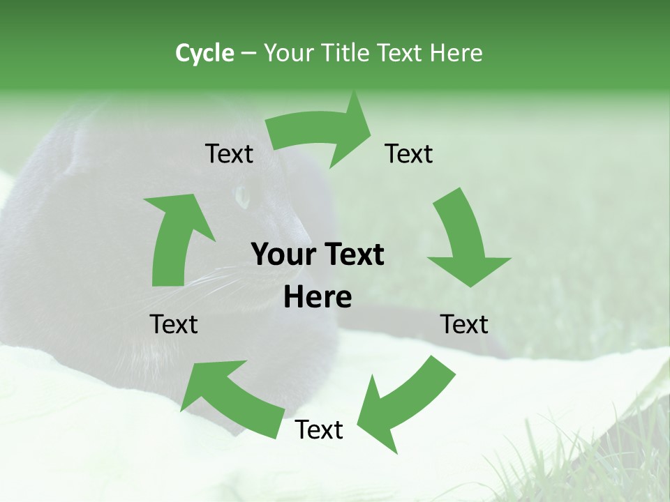 A Gray Cat Laying On Top Of A Blanket In The Grass PowerPoint Template