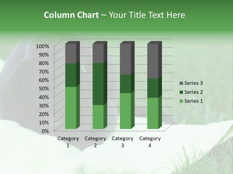 A Gray Cat Laying On Top Of A Blanket In The Grass PowerPoint Template