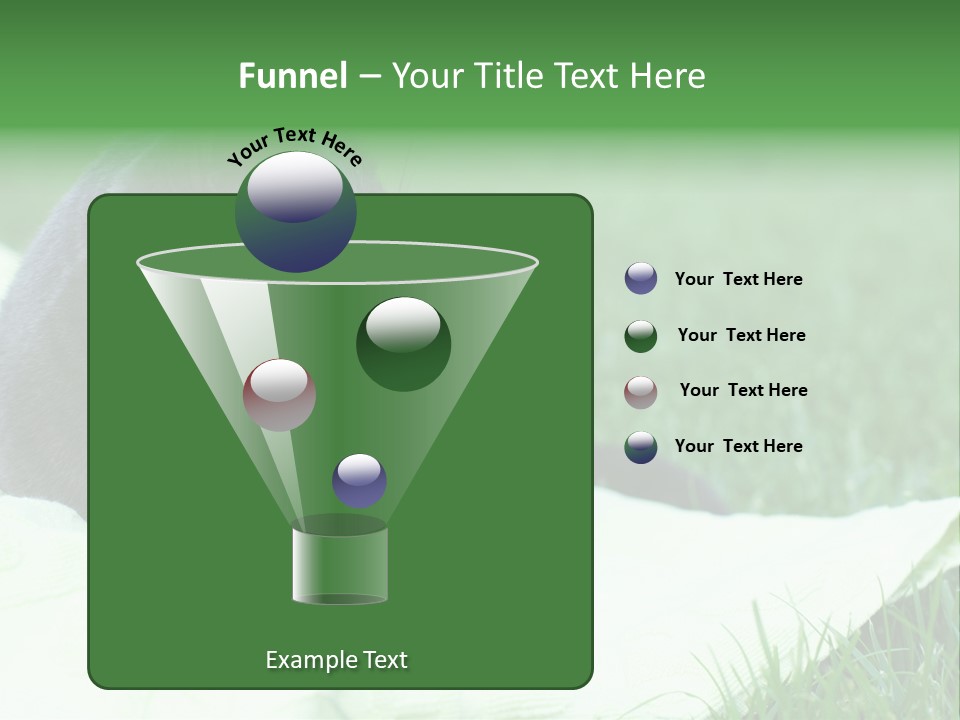 A Gray Cat Laying On Top Of A Blanket In The Grass PowerPoint Template