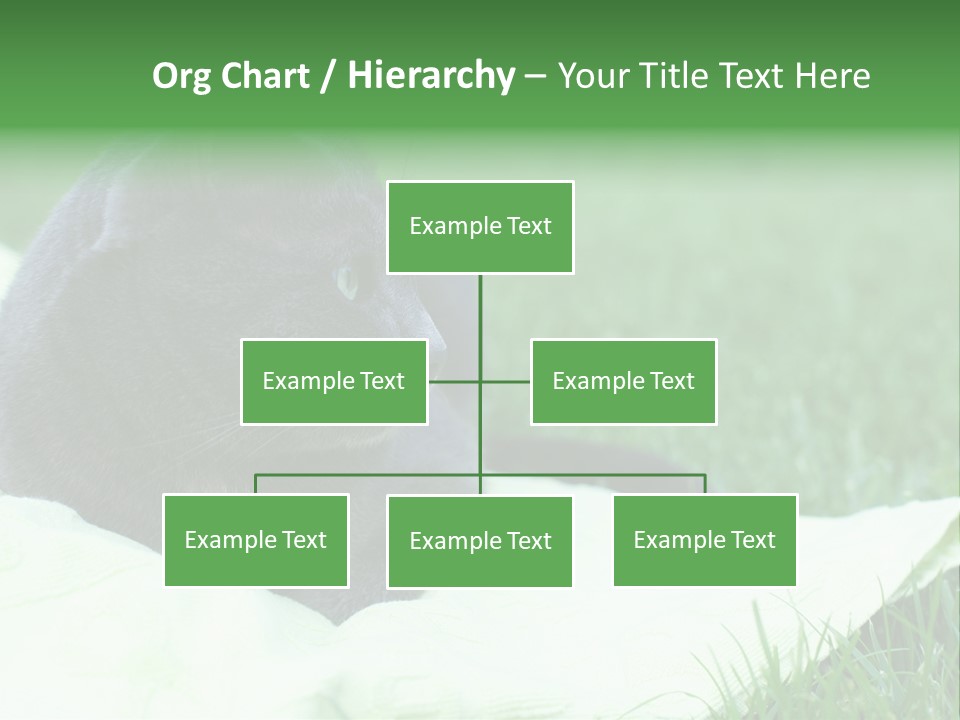 A Gray Cat Laying On Top Of A Blanket In The Grass PowerPoint Template