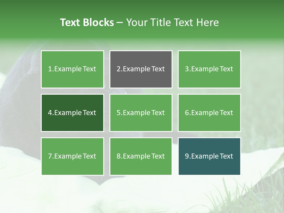 A Gray Cat Laying On Top Of A Blanket In The Grass PowerPoint Template