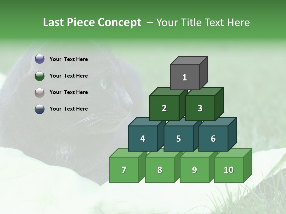 A Gray Cat Laying On Top Of A Blanket In The Grass PowerPoint Template