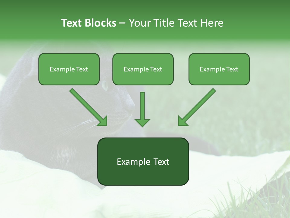 A Gray Cat Laying On Top Of A Blanket In The Grass PowerPoint Template