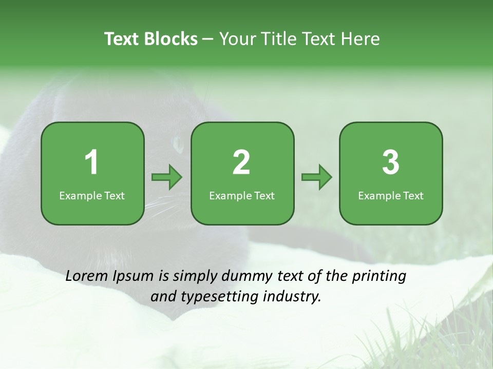 A Gray Cat Laying On Top Of A Blanket In The Grass PowerPoint Template