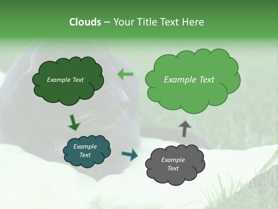 A Gray Cat Laying On Top Of A Blanket In The Grass PowerPoint Template