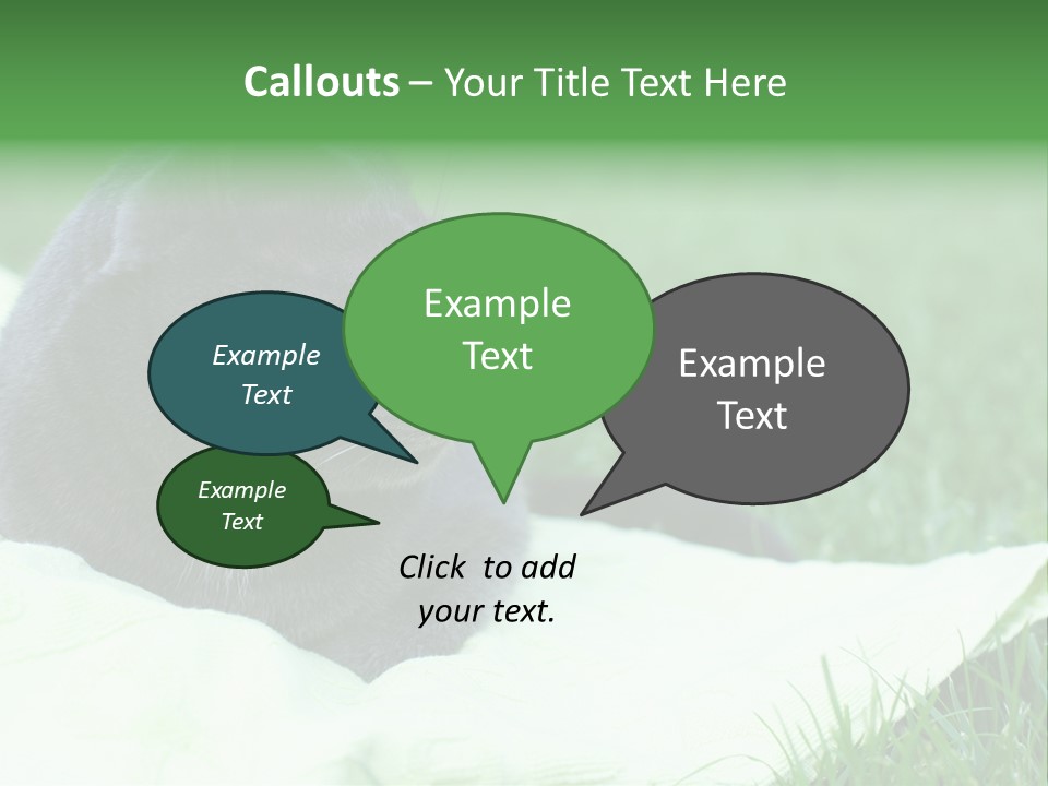 A Gray Cat Laying On Top Of A Blanket In The Grass PowerPoint Template