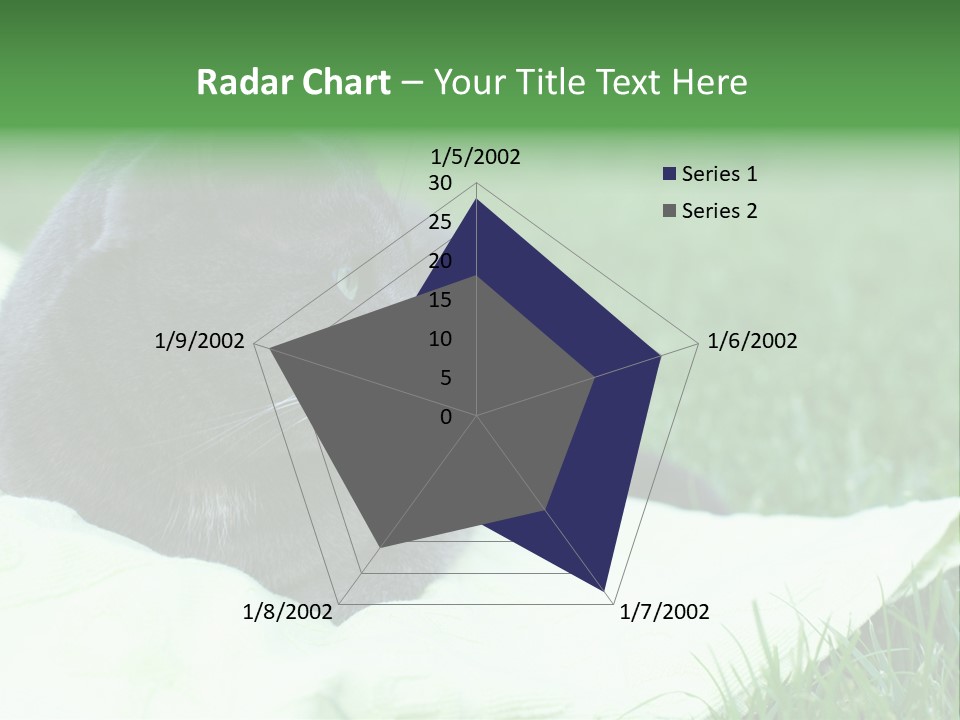 A Gray Cat Laying On Top Of A Blanket In The Grass PowerPoint Template