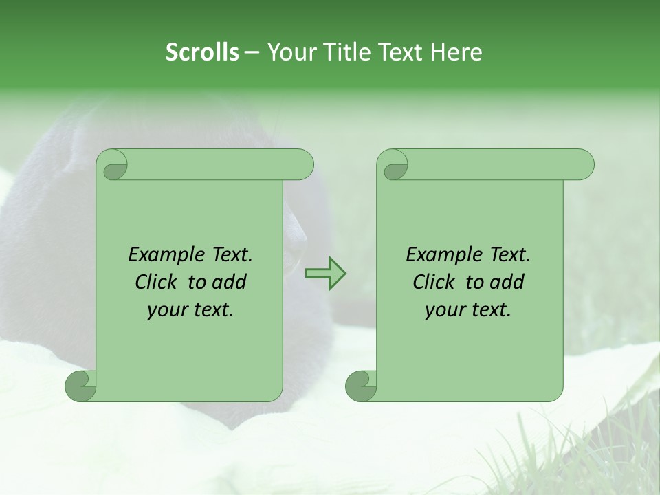 A Gray Cat Laying On Top Of A Blanket In The Grass PowerPoint Template