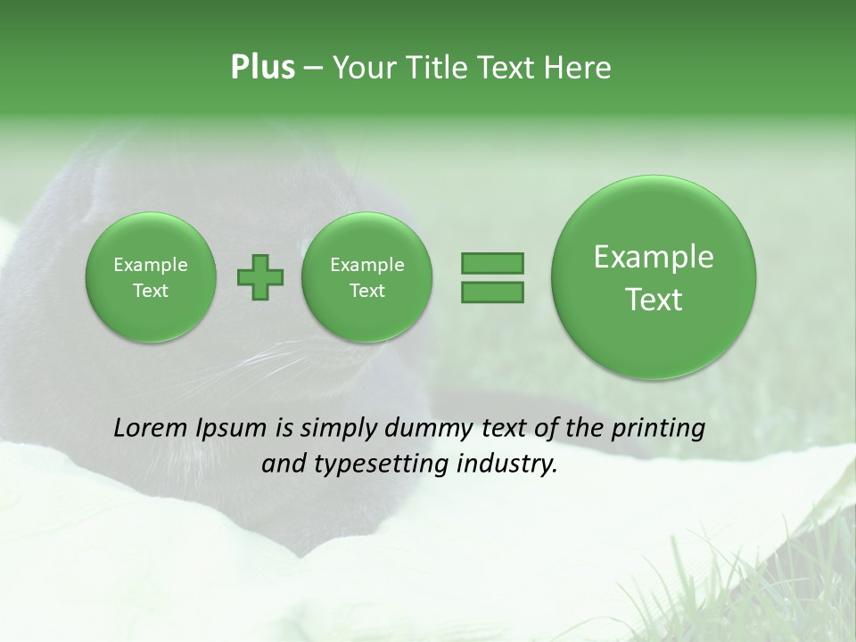 A Gray Cat Laying On Top Of A Blanket In The Grass PowerPoint Template