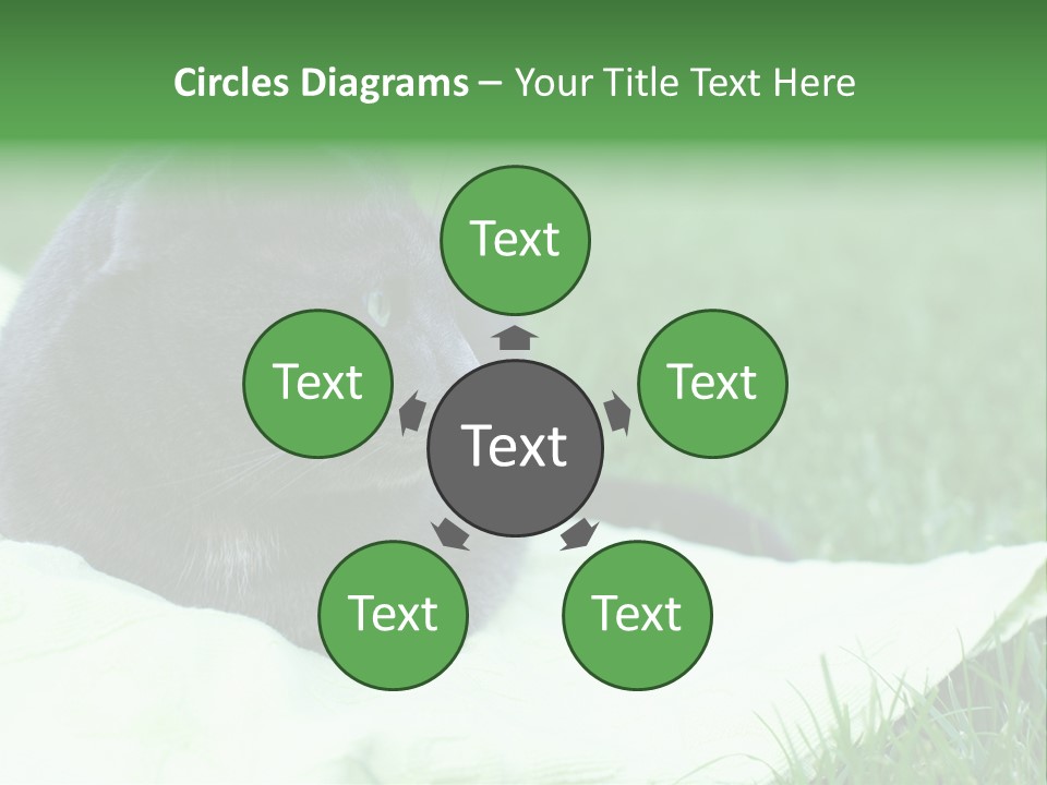 A Gray Cat Laying On Top Of A Blanket In The Grass PowerPoint Template