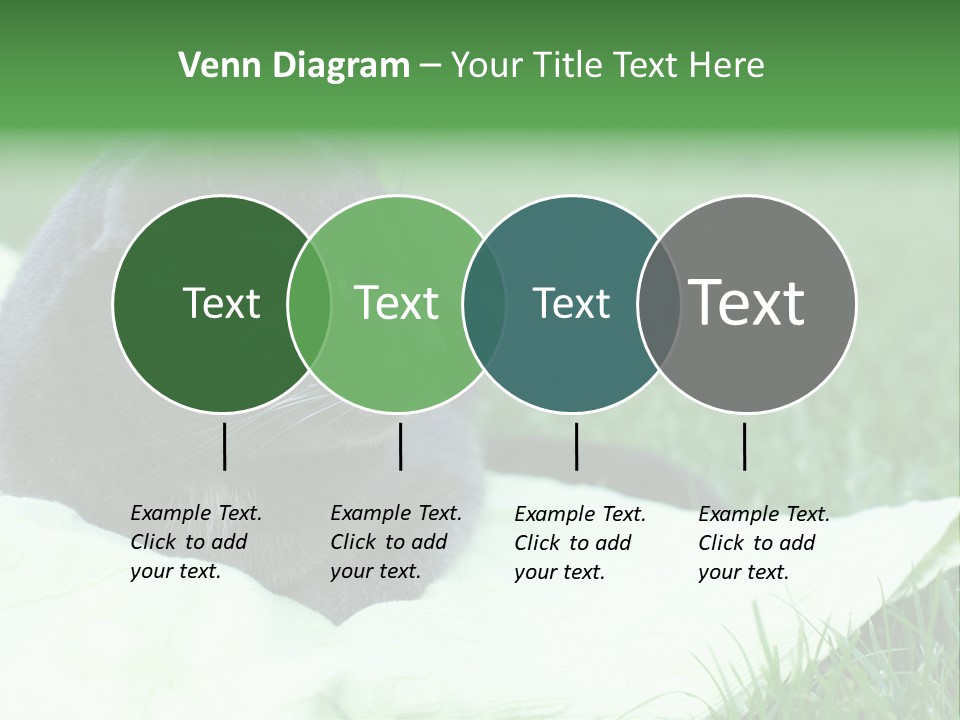 A Gray Cat Laying On Top Of A Blanket In The Grass PowerPoint Template