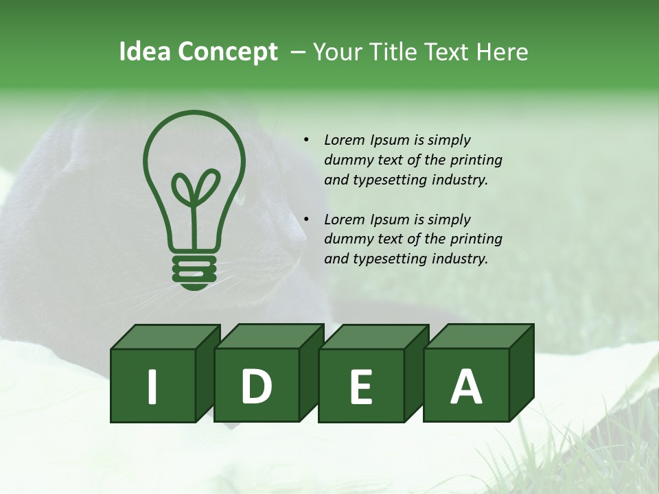 A Gray Cat Laying On Top Of A Blanket In The Grass PowerPoint Template