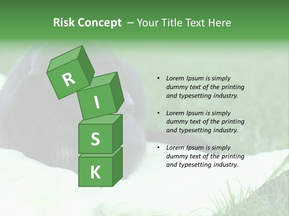 A Gray Cat Laying On Top Of A Blanket In The Grass PowerPoint Template