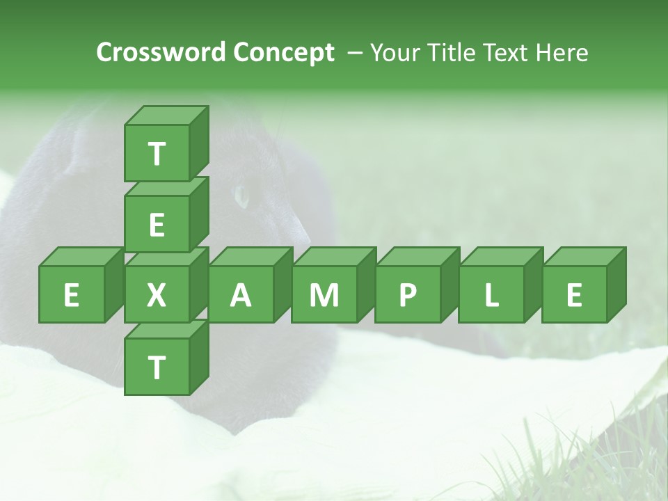 A Gray Cat Laying On Top Of A Blanket In The Grass PowerPoint Template